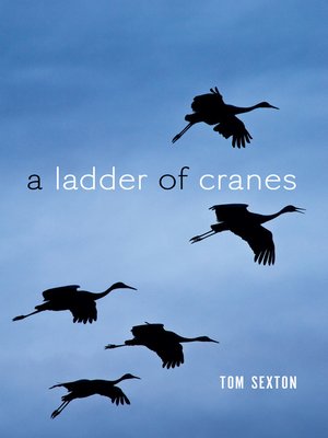 cover image of A Ladder of Cranes